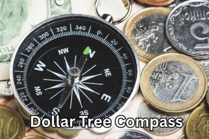 Dollar Tree Compass: Affordable Navigation for Everyone