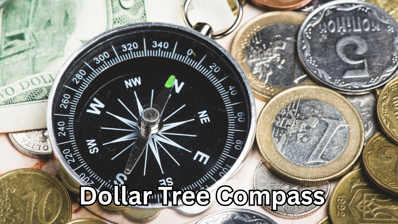 Dollar Tree Compass: Affordable Navigation for Everyone